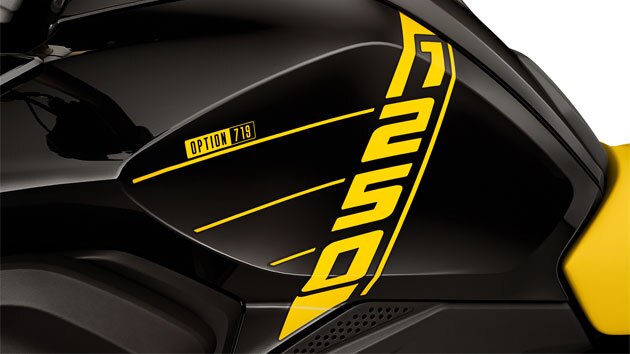 Vemos el tanque de la Edition 40 Years GS con letras 1250 y el logotipo de Option 719 en la vista de detalle.